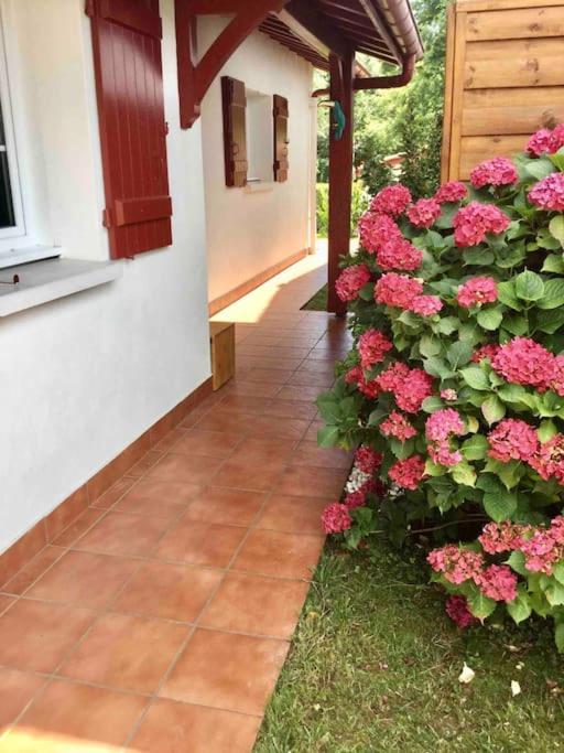 1Km Plage, Agreable Maison 6 Pers Classee 3* Hendaye Eksteriør billede