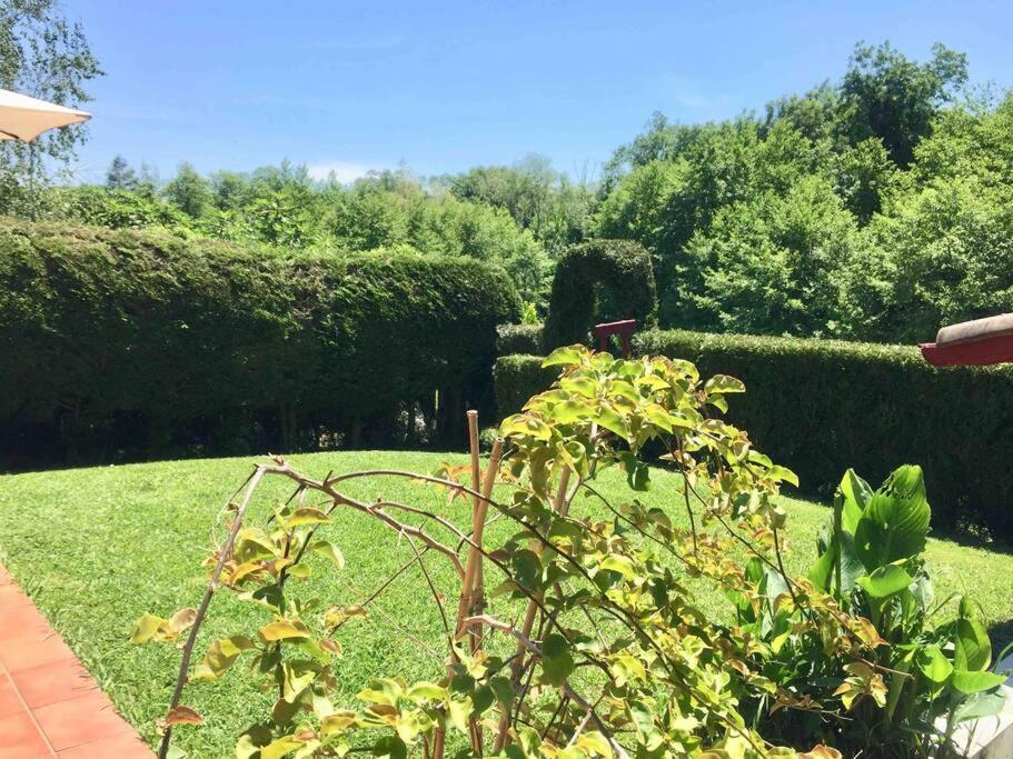 1Km Plage, Agreable Maison 6 Pers Classee 3* Hendaye Eksteriør billede